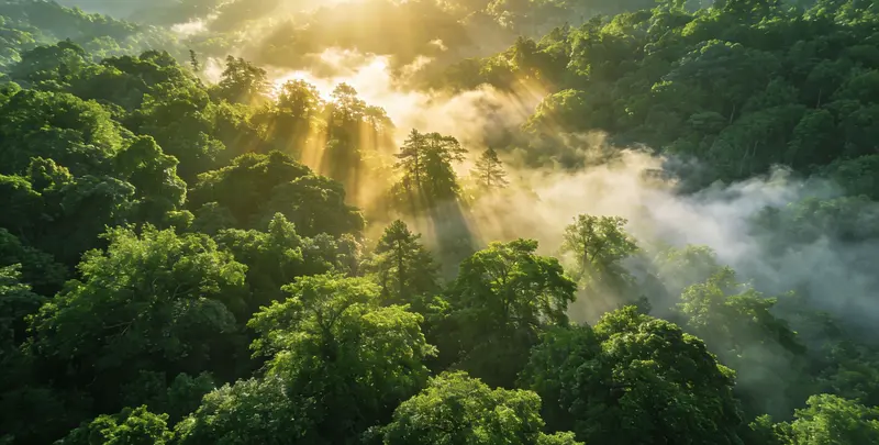 延边肺癌12基因ctDNA突变检测(血液）图片1