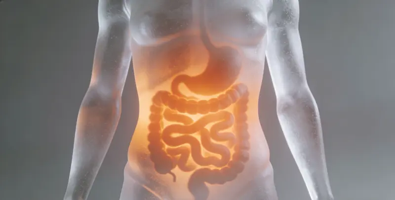 延边胃癌靶向用药39基因检测及PDL122C3表达检测套餐（组织）图片1